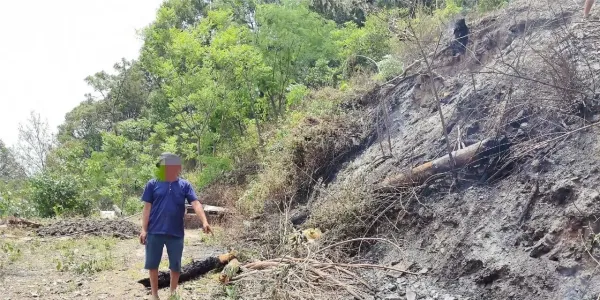 野外违规用火，丽江华坪3人被处罚！森林防火，警钟长鸣