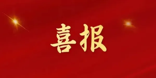 喜报！丽江一政法服务平台出圈，入选全国十佳创新案例