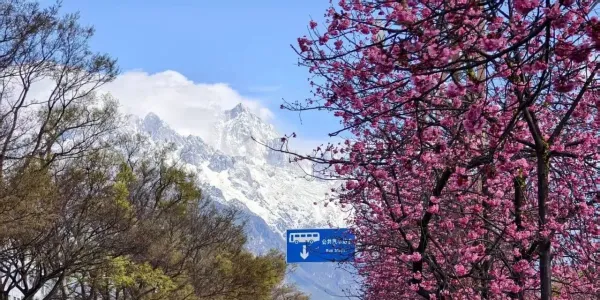 阵雨+阵雪！本周丽江的天气是这样的→
