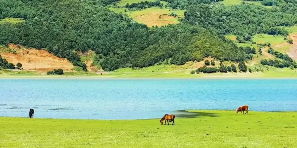 去文海的注意！4月8日起，丽江这段路将封闭施工15天