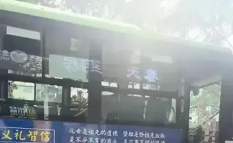 公交车身惊现奇葩广告语：“堕胎断祖先血脉”引众怒 公共空间不容极端观念乱入