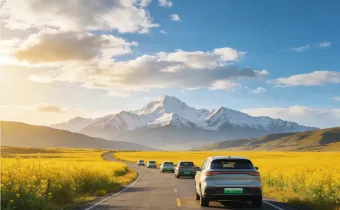 一块电池比整车还贵！新能源车主陷入“换车还是换电池”的两难