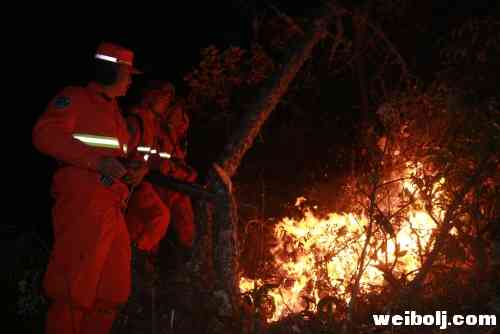 玉龙森林火灾致房屋烧毁 1700人扑火任在进行