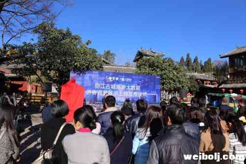 大数据实时显示游客数量 丽江古城管理再上新台阶