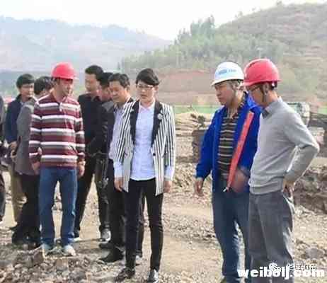 县长庞新秀到重点项目建设现场调研.webp.jpg