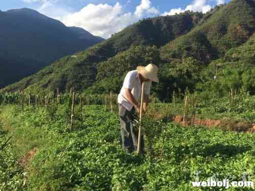 放着一年四十万的生意不做 他要回到顺州