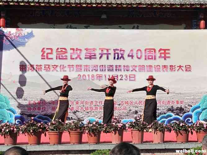 多民族盛装欢聚束河茶马文化节！