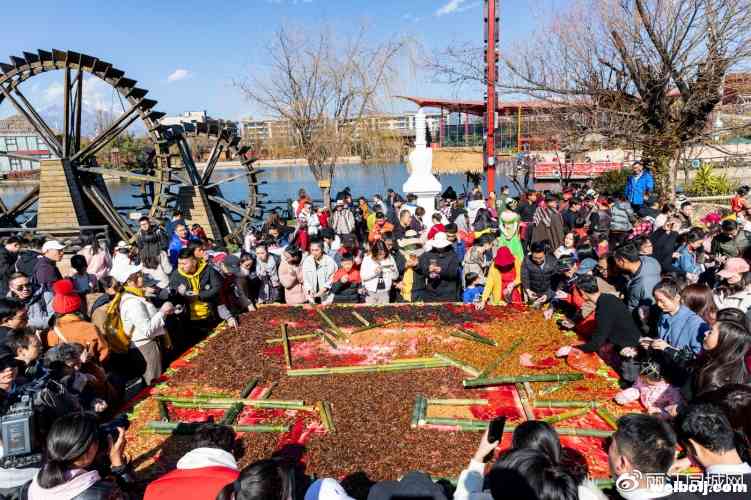 丽江千古情景区摆出“百虫宴”1吨昆虫免费宴请游客