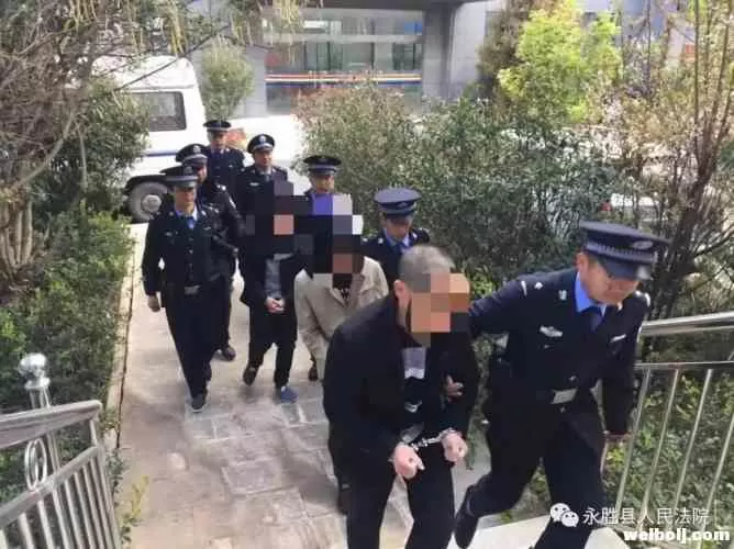 永胜罗某某涉恶案件公开开庭审理