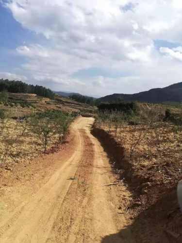 公而忘私 垫资铺筑“致富路”