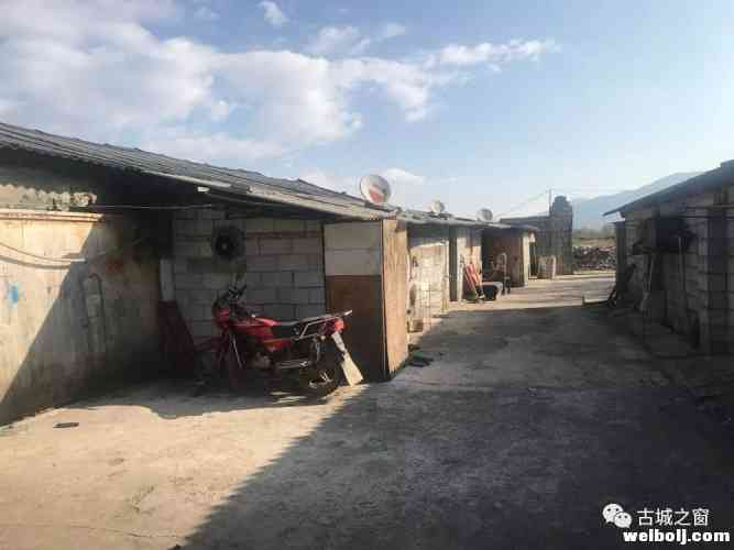 动真格！祥和街道依法拆除“大棚房”2300平方米