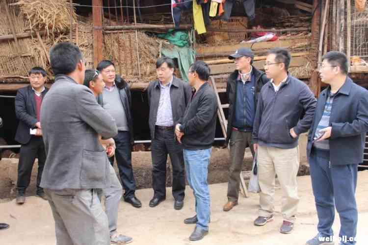 农业农村部“百乡万户调查”活动督导组到永胜督导调研