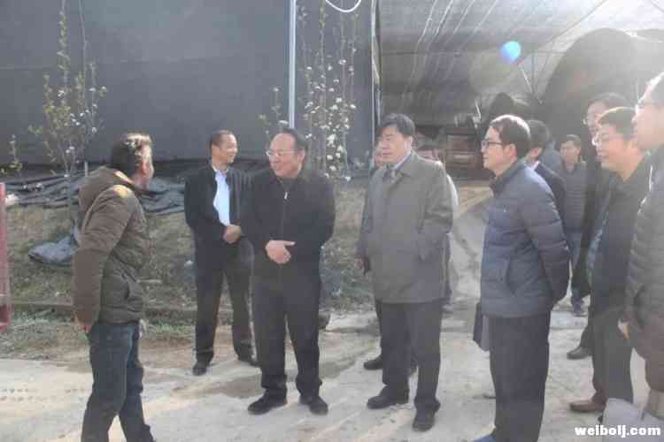 农业农村部“百乡万户调查”活动督导组到永胜督导调研