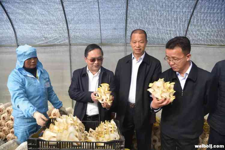 市委市政府在永胜召开现场会：整改务必动真格求实效，全面完成脱贫攻坚任务