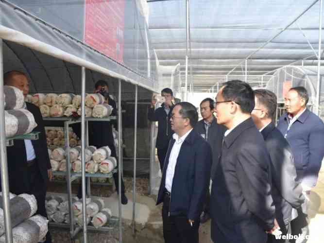 市委市政府在永胜召开现场会：整改务必动真格求实效，全面完成脱贫攻坚任务