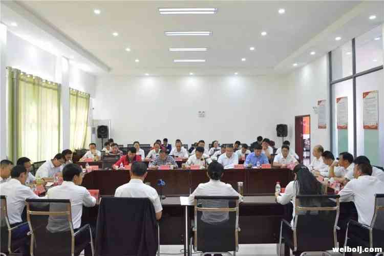 华坪县召开丽江隆基高效单晶硅棒二期项目建设“百日会战”启动大会