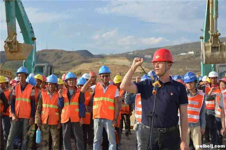 华坪县召开丽江隆基高效单晶硅棒二期项目建设“百日会战”启动大会