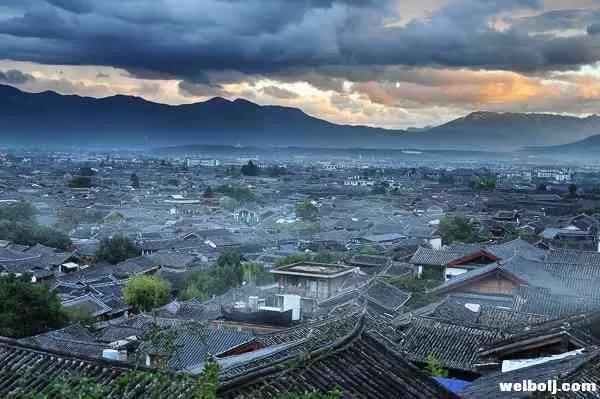 丽江市文化和旅游局致广大文化（旅游） 市场经营企业（单位）及从业人员的一封信