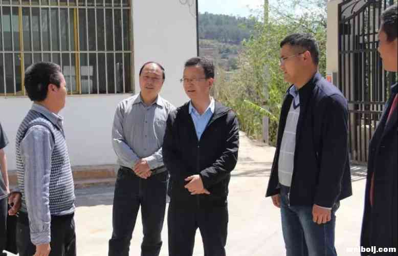 杨晓敏到大安调研脱贫攻坚工作：抓紧查缺补漏全面提高脱贫质量