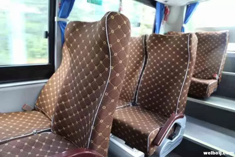 简直不要太安逸！15元即可乘公交专线直达玉龙雪山景区