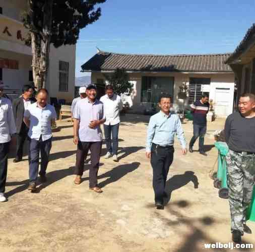 杨晓敏:以最昂扬的斗志投入到“户户达标”夏季攻势中