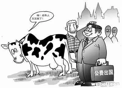 培训地在昆明，住宿却在丽江 这两位干部着了！