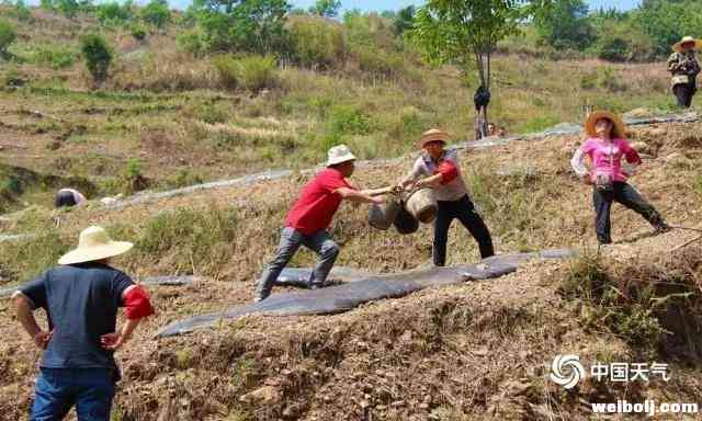 继2015年干旱后，今年丽江旱情达到5年内最重！