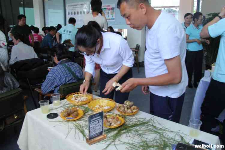 来自大山深处的幸福感！云雪丽带你玩转最有温度的云南菜！