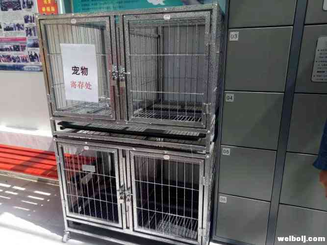 母婴室、宠物寄存……丽江商场超市便民设施，引市民点赞！