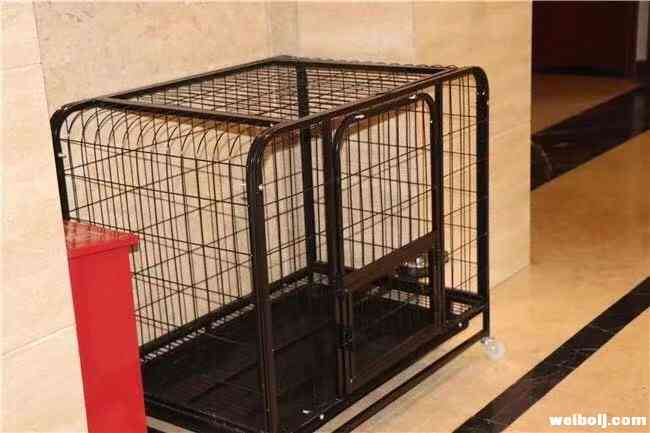 丽江酒店、宾馆“文明餐桌”等多项举措,助力我市创文! 丽江酒店、宾馆“文明餐桌”等多项举措,助力我市创文!