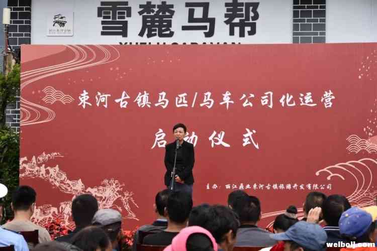 束河古镇马车、马匹公司化运营正式启动
