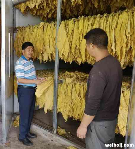 余丽军到新庄乡德胜村督导脱贫攻坚“秋季总攻”补短板工作