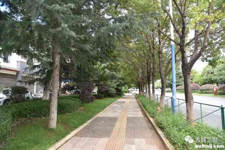 绿化带“很受伤”，请脚下留情!