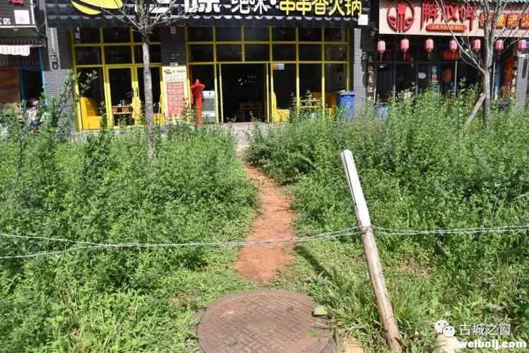 绿化带“很受伤”，请脚下留情!