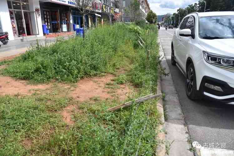 绿化带“很受伤”，请脚下留情!