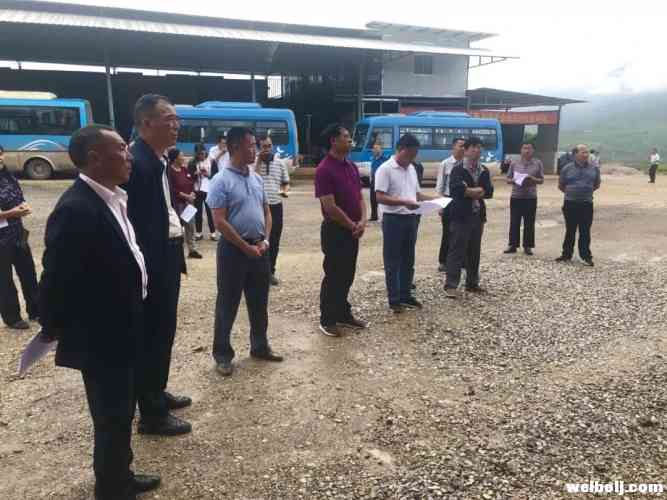 市县人大代表视察永胜特色水果产业发展