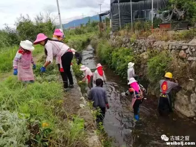 效果好！束河街道动员36家单位干了台大事......