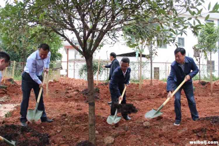 暖心！永胜县620户2285名山区贫困群众入住县城新居