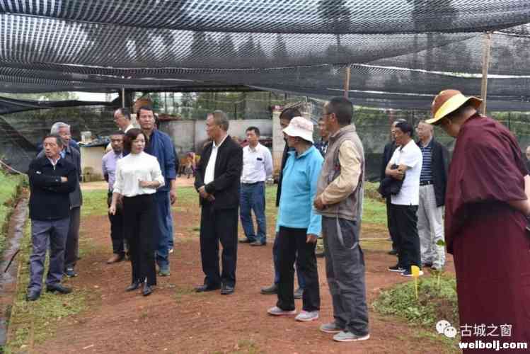忆初心、共奋进！古城召开庆祝人民政协成立70周年座谈会