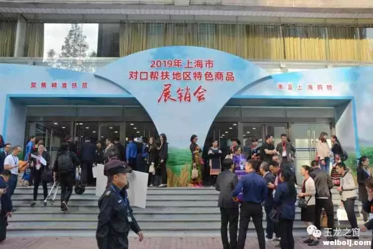 惊艳上海滩！沪滇两地主要领导为丽江特产打call