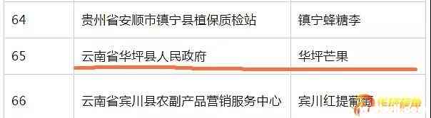 喜讯！“华坪芒果”上榜了
