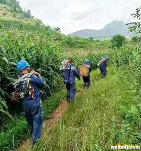 华坪供电局：发挥行业优势 全力助推脱贫攻坚