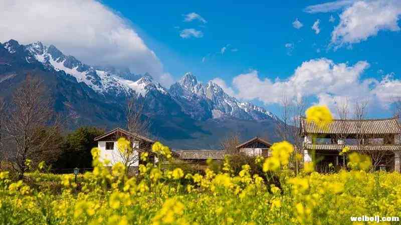 多姿多彩的玉龙雪山，你了解多少？