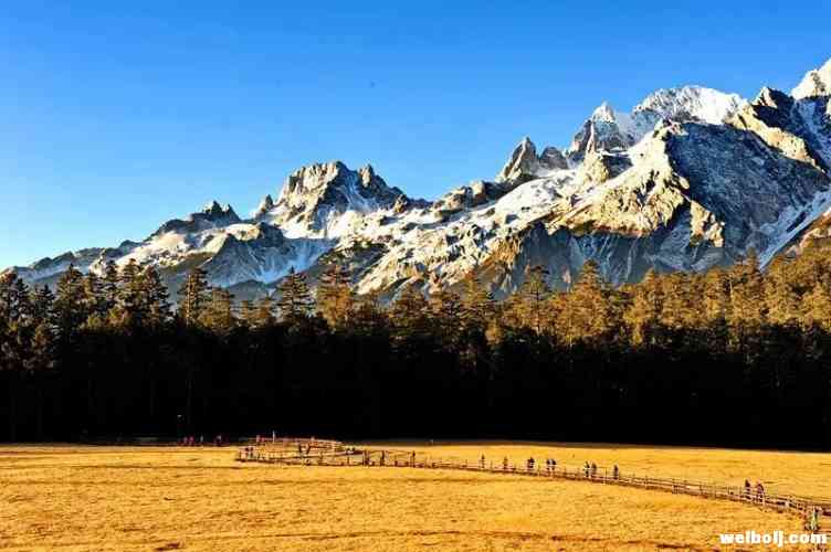 你知道李霖灿与雪山的不解之缘吗？