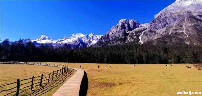 你知道李霖灿与雪山的不解之缘吗？