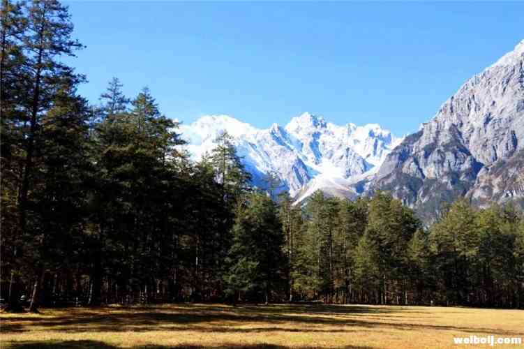 你知道李霖灿与雪山的不解之缘吗？