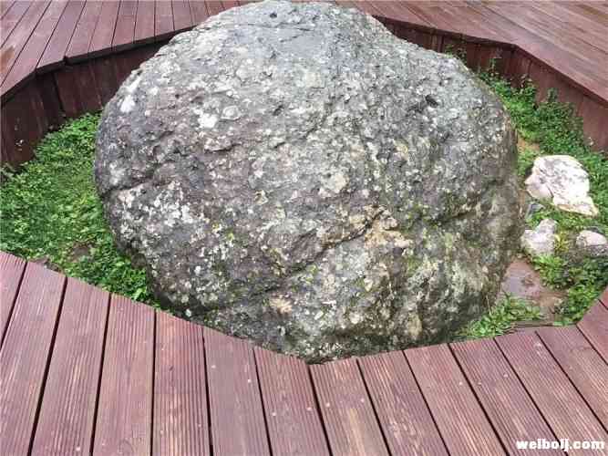 你知道李霖灿与雪山的不解之缘吗？