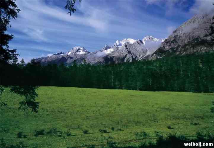 你知道李霖灿与雪山的不解之缘吗？