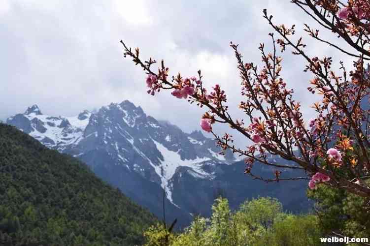 有一种相见恨晚，叫玉龙雪山！