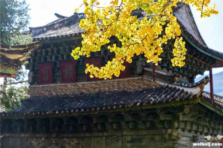 丽江风景随手一拍都是大片！